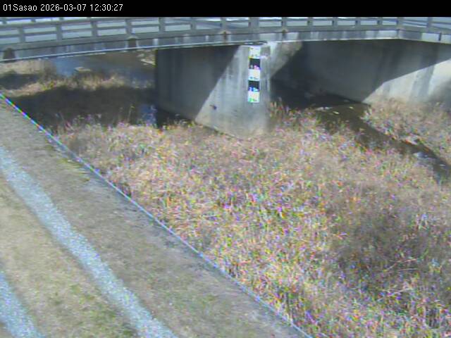 最新監視カメラ画像