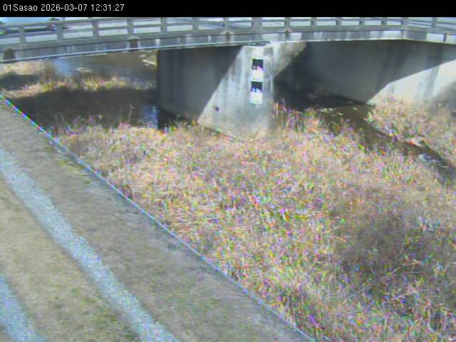 最新監視カメラ画像