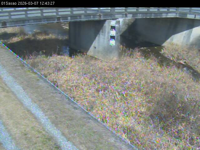 最新監視カメラ画像