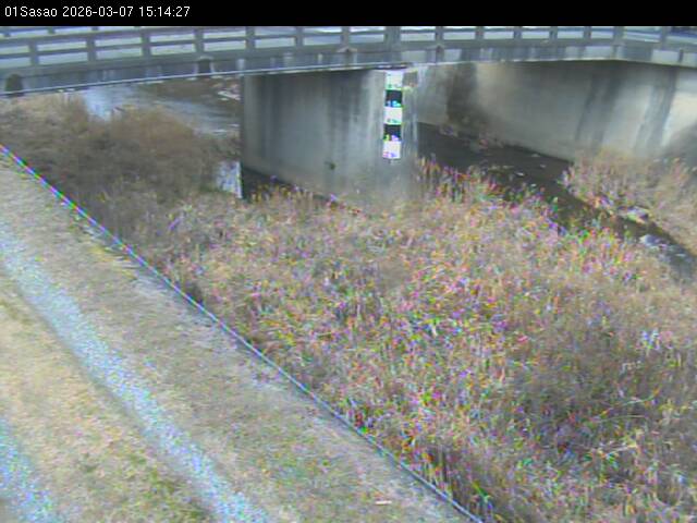 最新監視カメラ画像