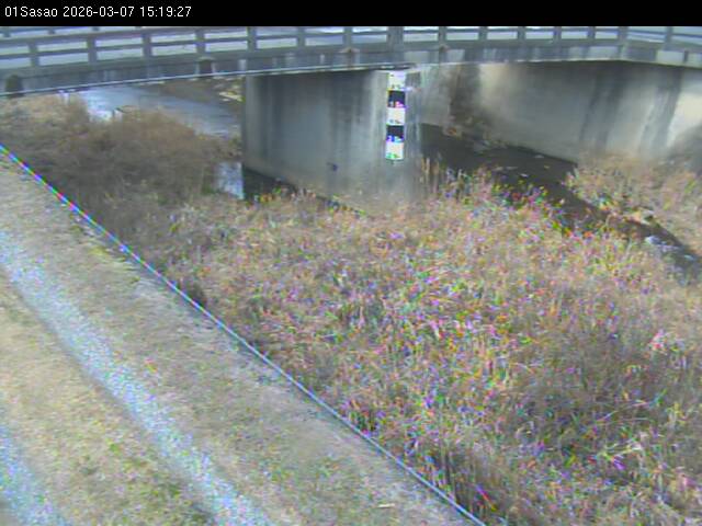 最新監視カメラ画像