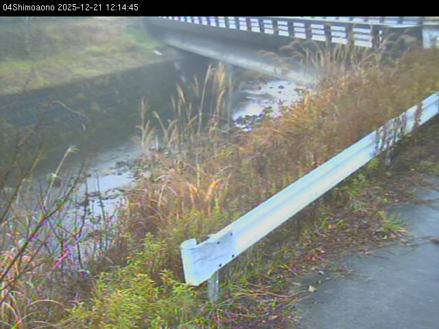 最新監視カメラ画像