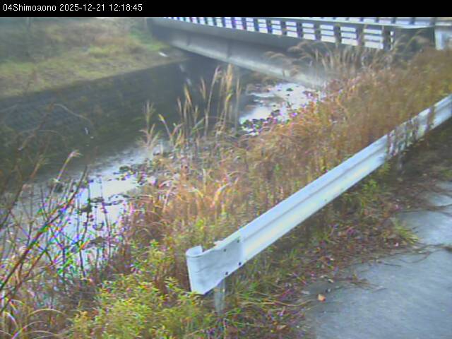 最新監視カメラ画像