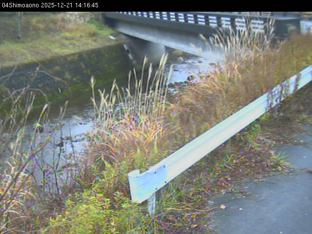 最新監視カメラ画像