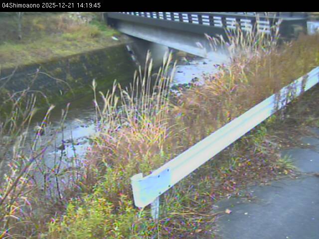 最新監視カメラ画像