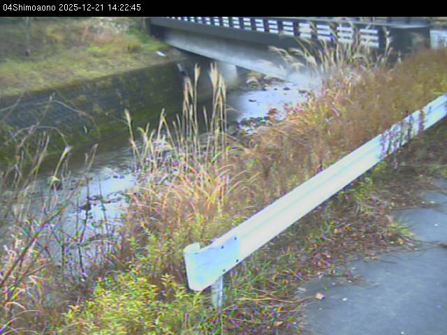 最新監視カメラ画像