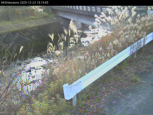 最新監視カメラ画像