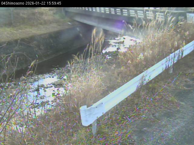 最新監視カメラ画像