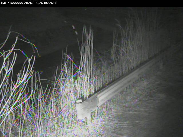 最新監視カメラ画像