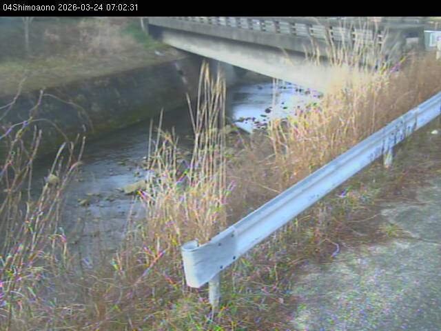 最新監視カメラ画像