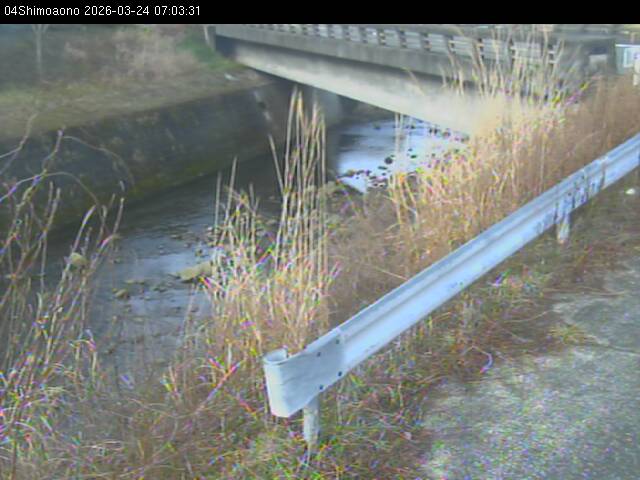 最新監視カメラ画像