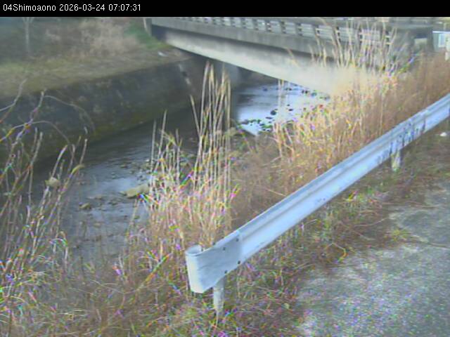 最新監視カメラ画像