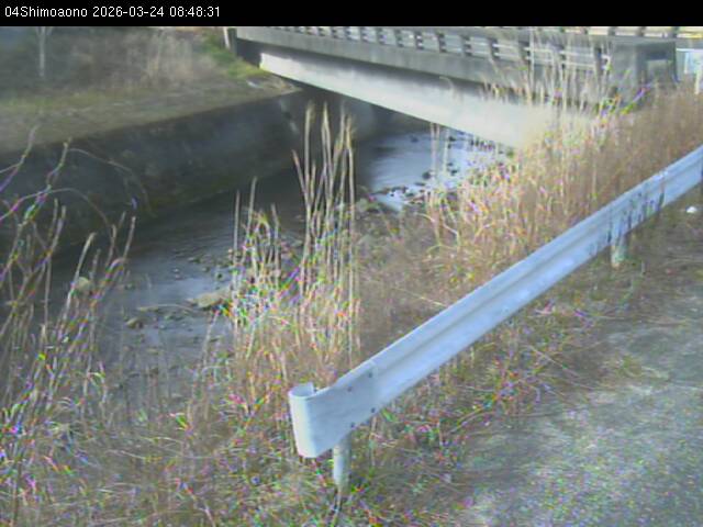 最新監視カメラ画像