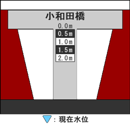 河床断面図